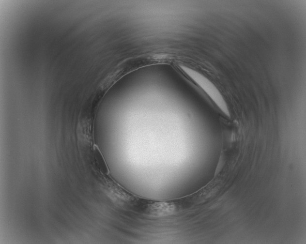 X0000062860421200601271535