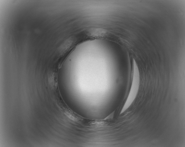 X0000062860428200601271535