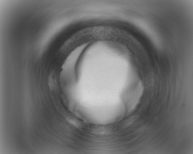 X0000062860431200601271535