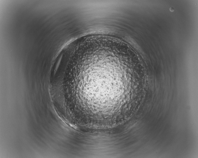 X0000062860434200601271534