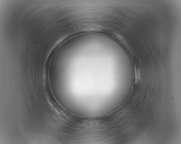 X0000062860435200601271534