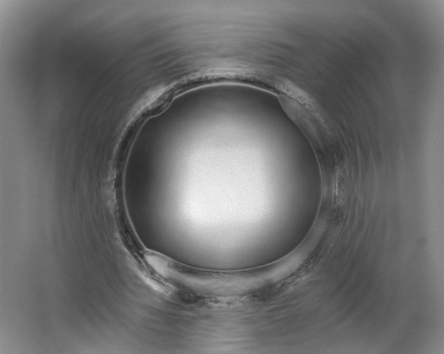 X0000062860436200601271534