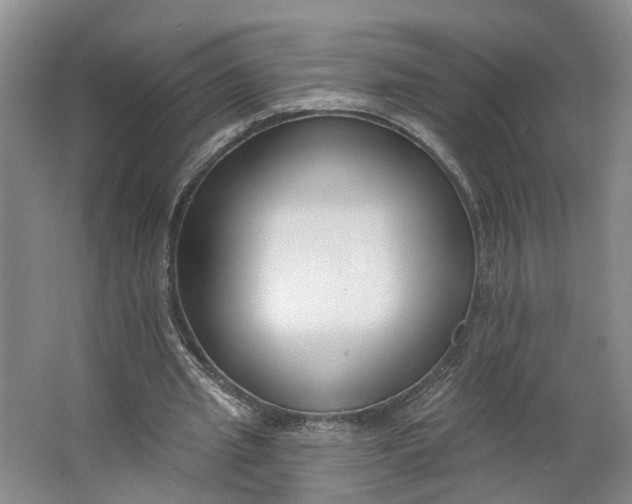 X0000062860437200601271534
