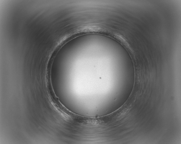 X0000062860439200601271534