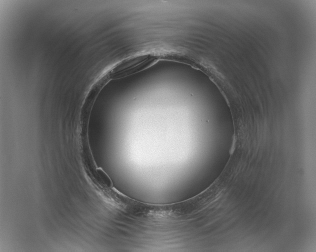 X0000062860440200601271534