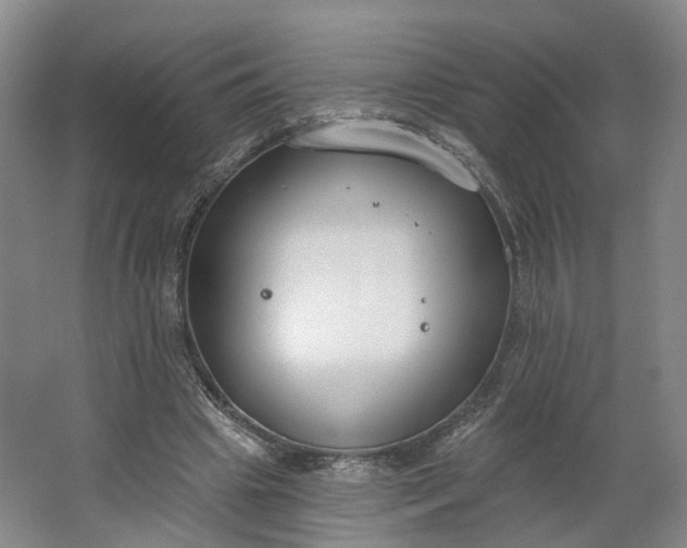 X0000062860441200601271534