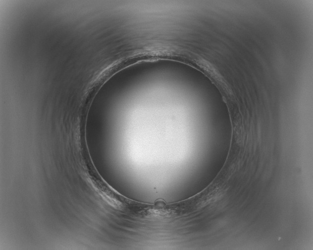 X0000062860442200601271534