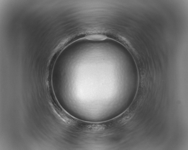 X0000062860443200601271534