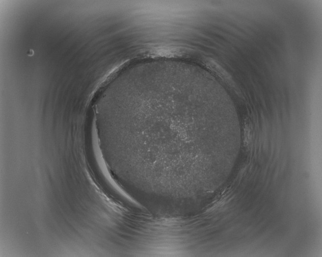 X0000062860444200601271534