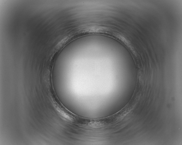 X0000062860445200601271534