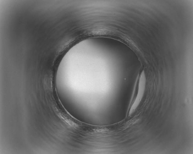 X0000062860446200601271534