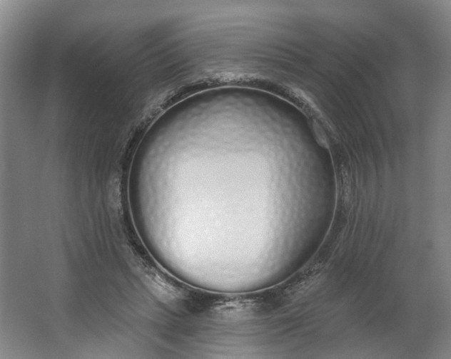 X0000062860447200601271534