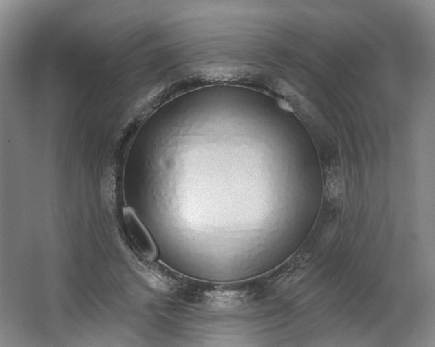 X0000062860448200601271534