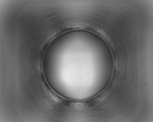 X0000062860449200601271534