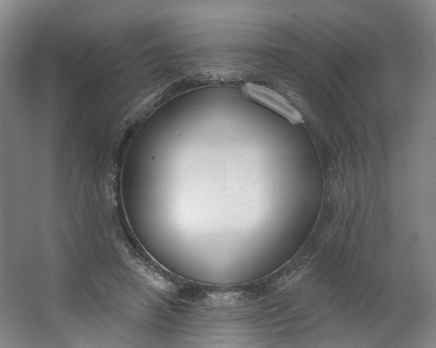 X0000062860450200601271534