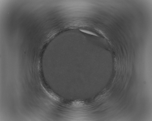 X0000062860451200601271534