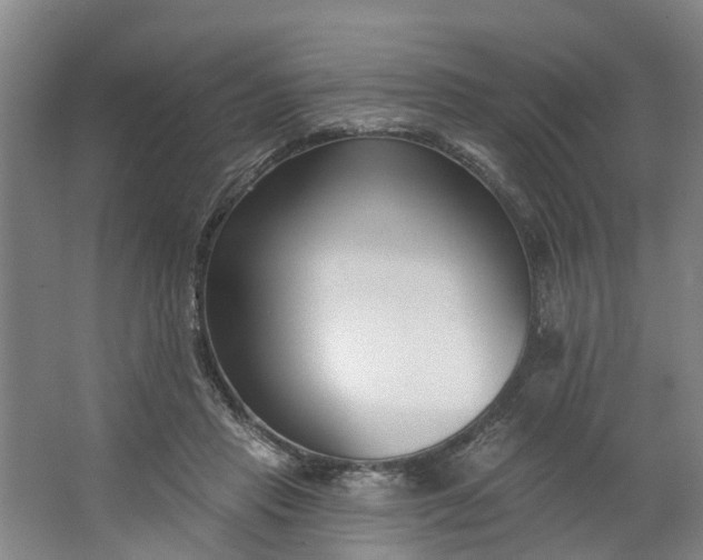 X0000062860453200601271534