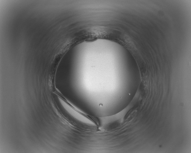 X0000062860456200601271534