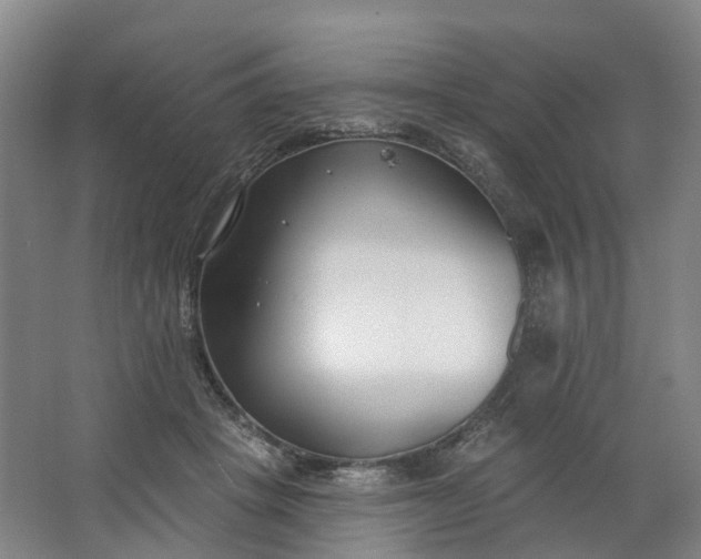 X0000062860457200601271534