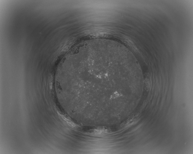 X0000062860458200601271534