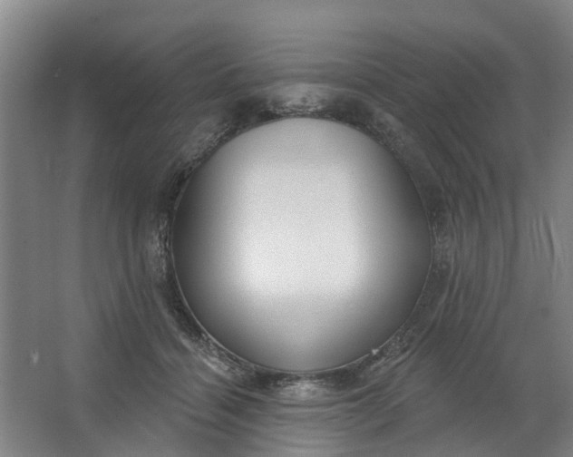 X0000062860460200601271534