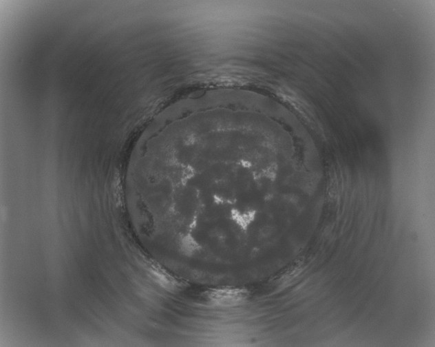 X0000062860465200601271534