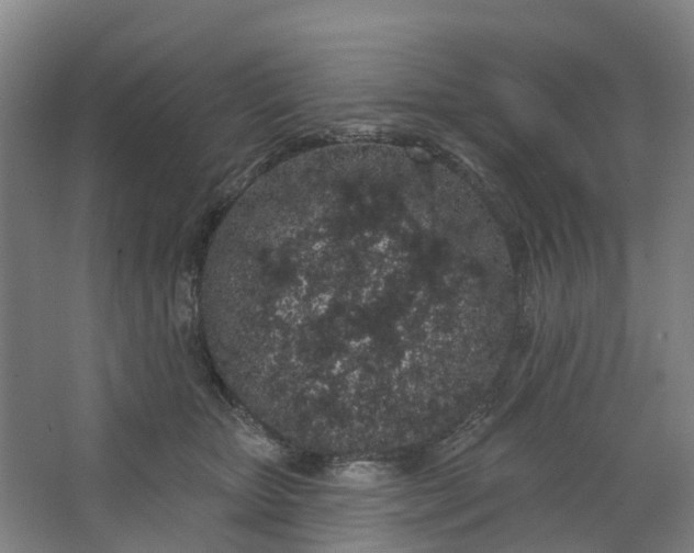 X0000062860467200601271534