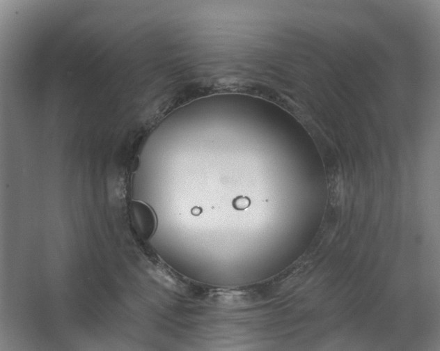 X0000062860472200601271535