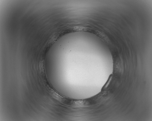 X0000062860473200601271535