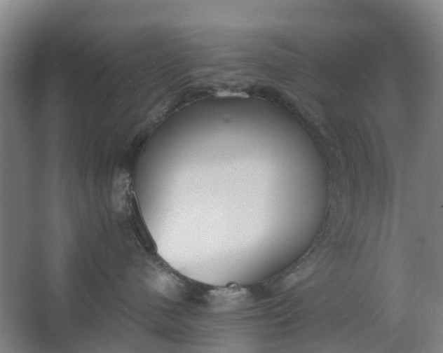 X0000062860480200601271535