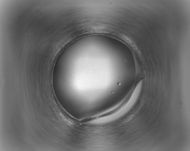 X0000062860481200601271534