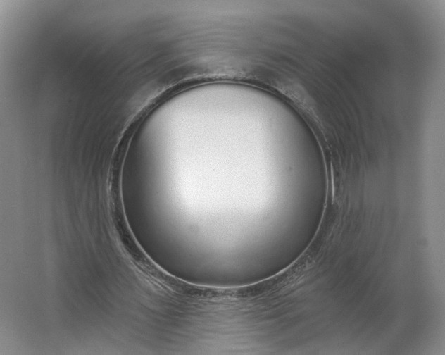 X0000062860483200601271534