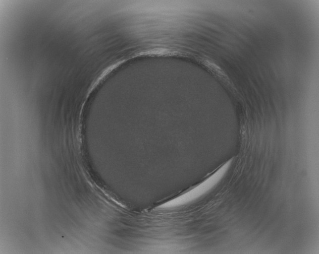 X0000062860484200601271534