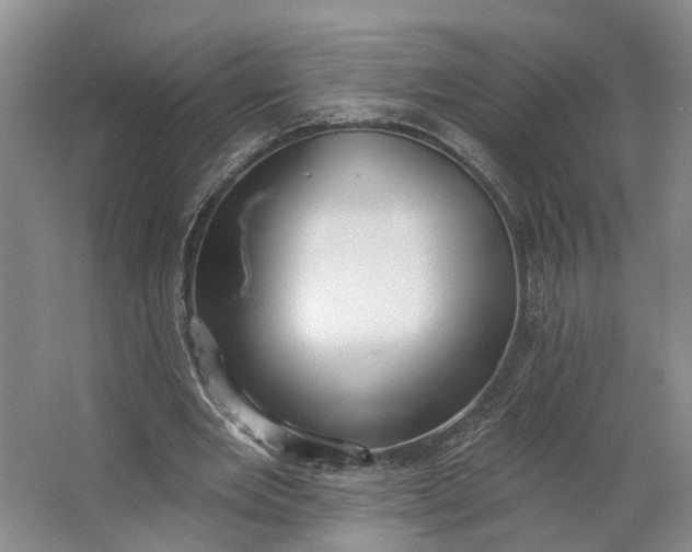 X0000062860485200601271534