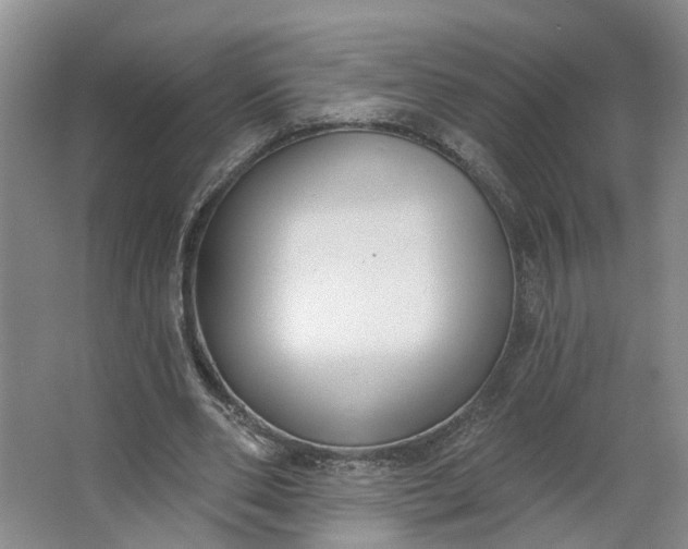 X0000062860486200601271534