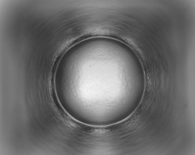 X0000062860487200601271534