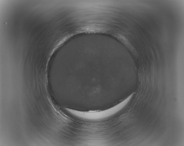 X0000062860488200601271534