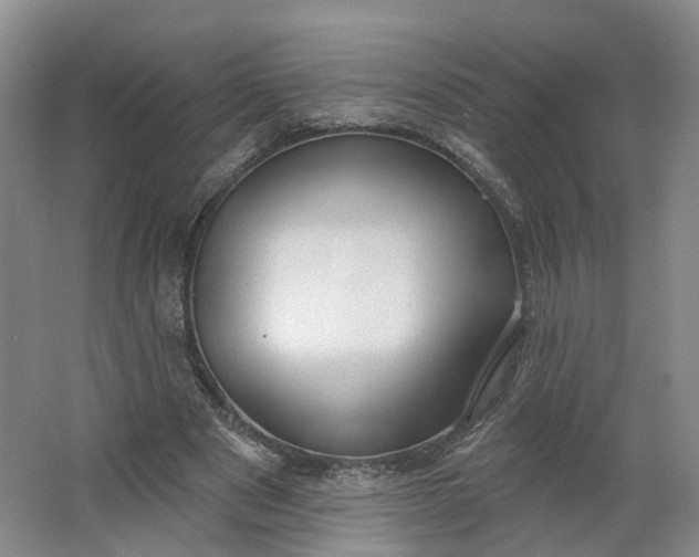 X0000062860489200601271534