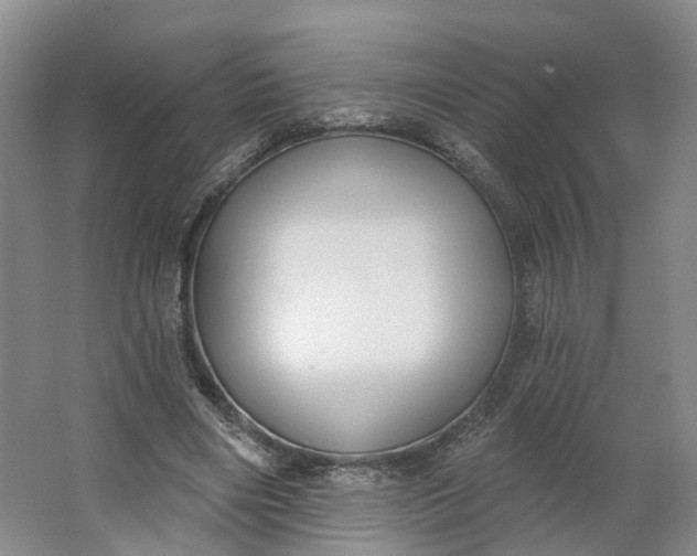 X0000062860490200601271534