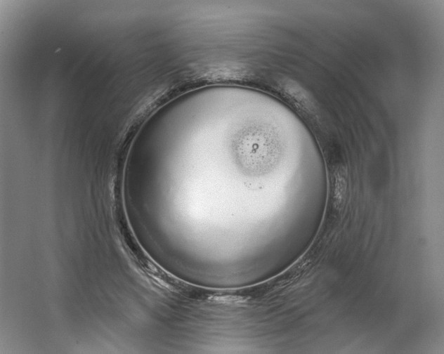 X0000062860491200601271534