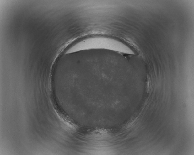 X0000062860492200601271534