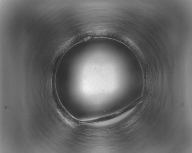 X0000062860493200601271534