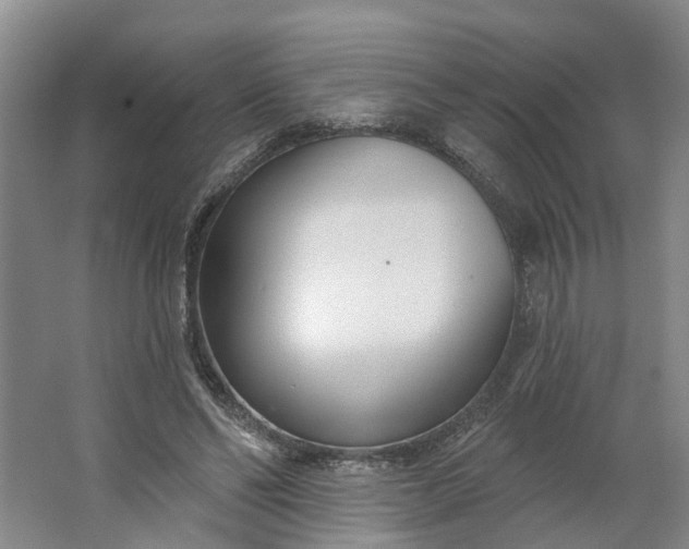 X0000062860494200601271534