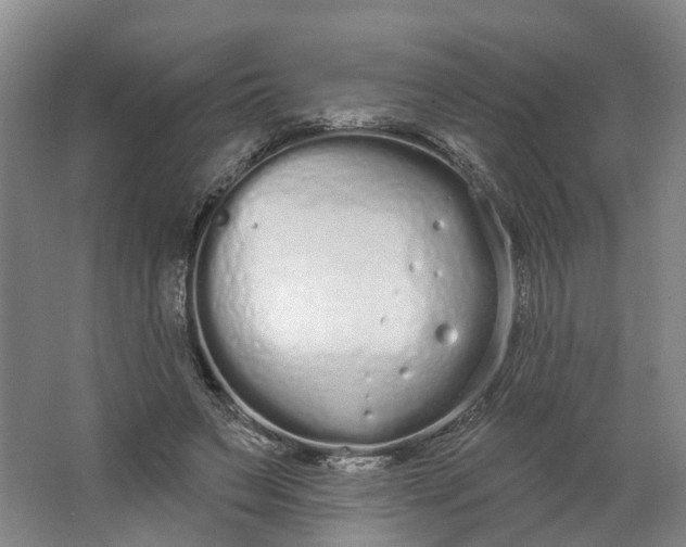 X0000062860495200601271534