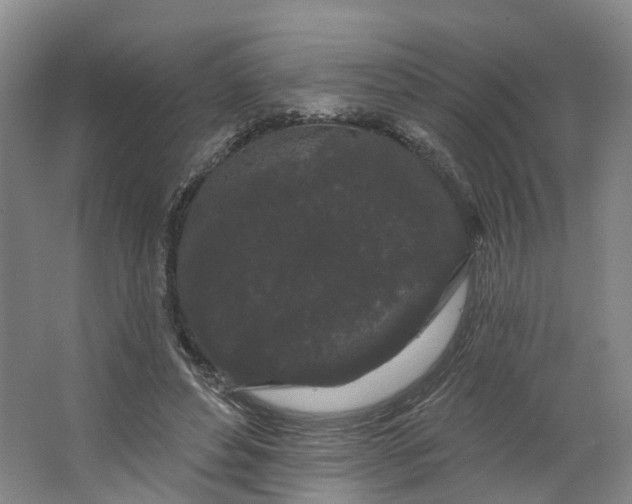 X0000062860496200601271534