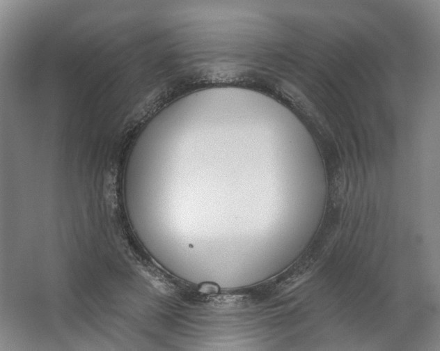 X0000062860497200601271534