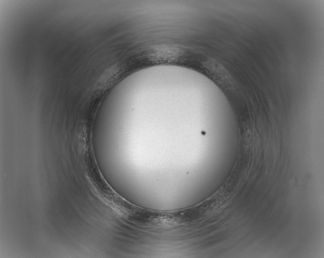 X0000062860498200601271534