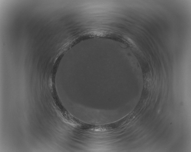 X0000062860500200601271534