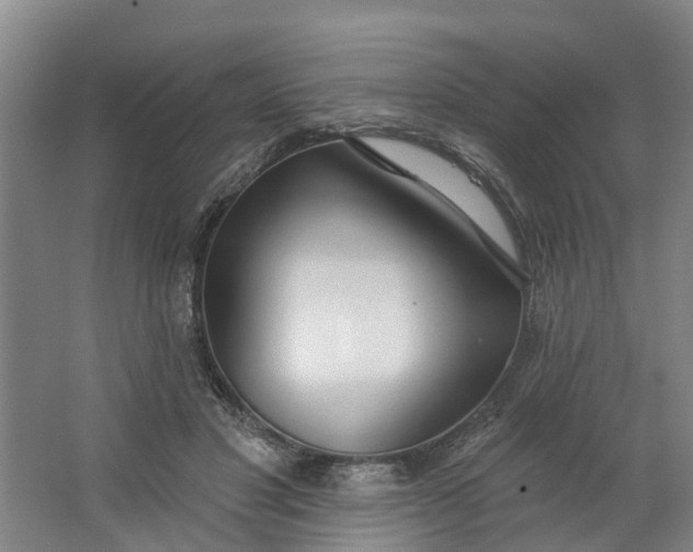 X0000062860501200601271533