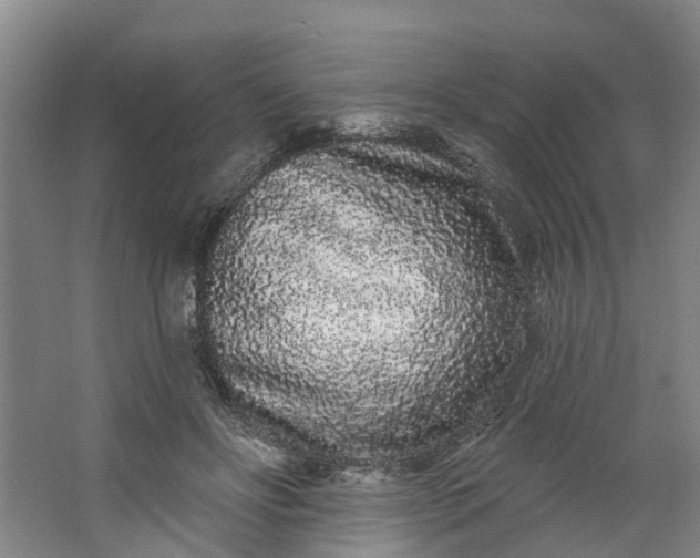 X0000062860502200601271533